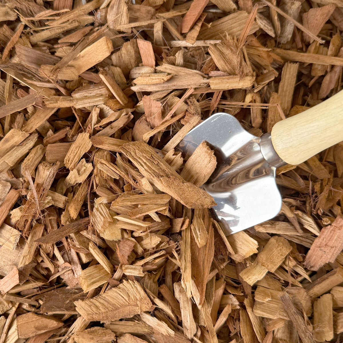 Colored Mulch / Bark - Blonde - Image 2