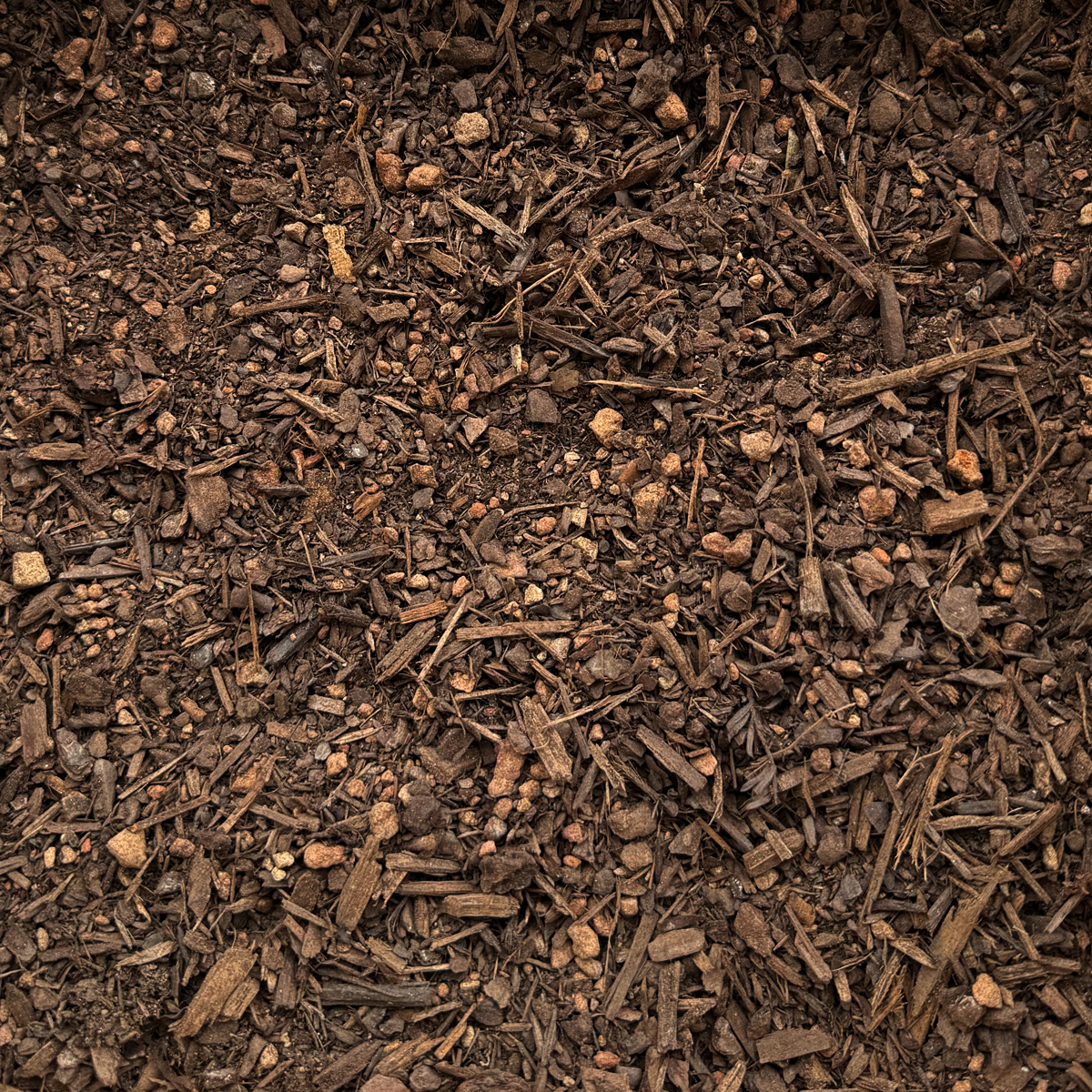 Rhododendron Mix