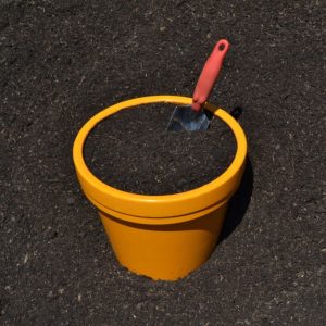 Mango Mulch Organic Compost