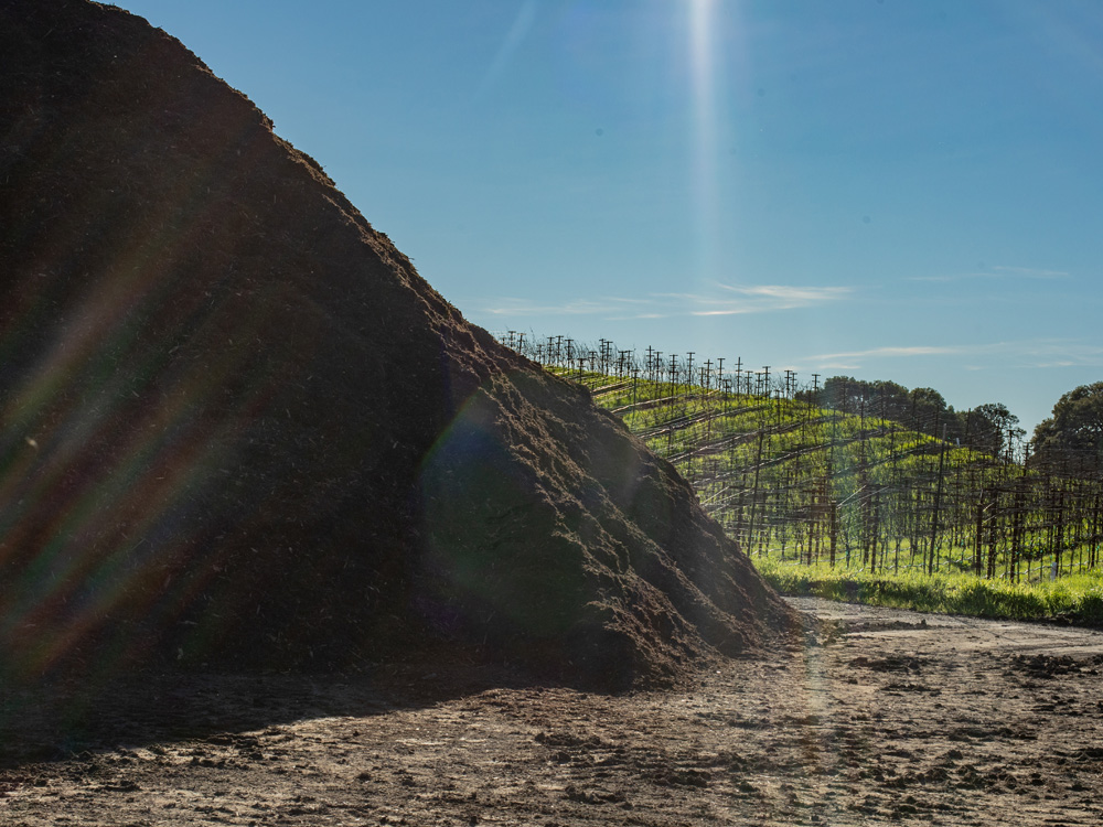 SUSTAINABILITY-body-stormwater-EDITED